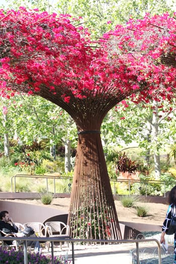 A tree with pink flowers in the middle of it.