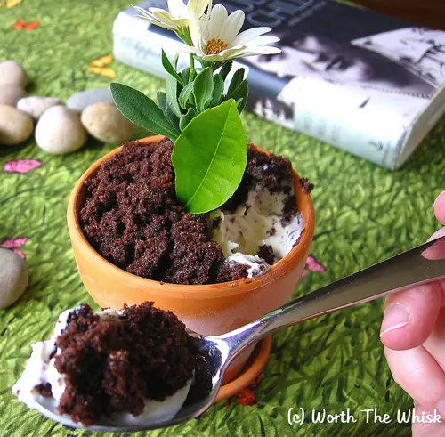 A spoon is holding a plant in the middle of a bowl.