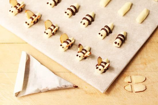 A close up of some banana bees on a table