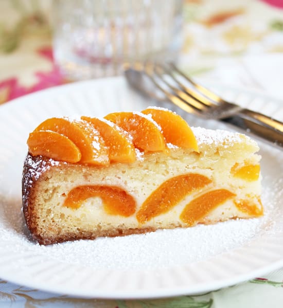A piece of cake with orange slices on top.