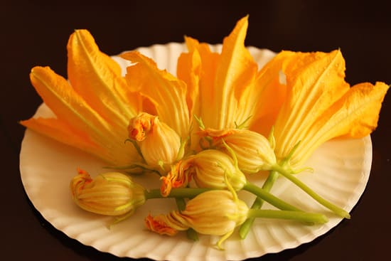 A paper plate with some flowers on it