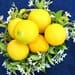 A bowl of lemons with leaves on the table.